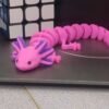 Axolotl - Image 2