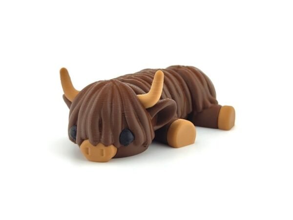 Lazy Highland Cow